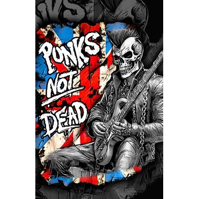 Punks Not Dead - Guitar (vlajka)