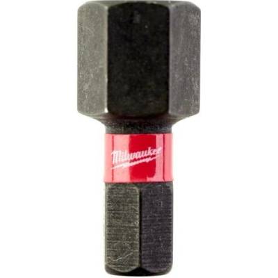 Milwaukee Hex 10 25 mm 2 ks 4932430899