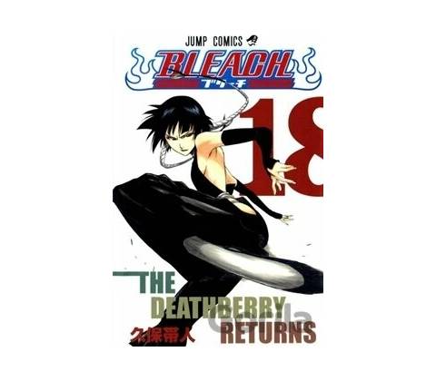 Bleach 18 česky