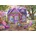 Bluebird Puzzle - Puzzle She Shed - 500 piese