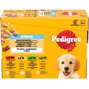 Kapsičky pre psov Pedigree Junior kuracie & jahňacie & hydinové & hovädzie s ryžou v želé 12 x 100 g
