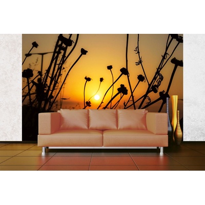 DIMEX ART Самозалепваща се флизелинова фототапета сухо поле цветя 375 x 250 см