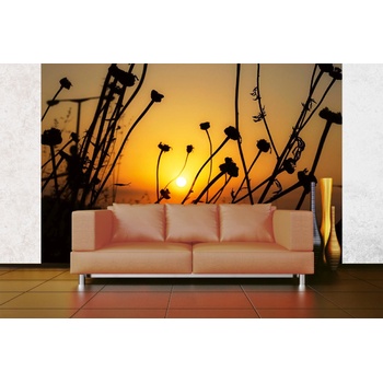 DIMEX ART s. r. o Самозалепваща се флизелинова фототапета сухо поле цветя 375 x 250 см