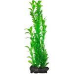TETRA Растение Hygrophila L 30 см
