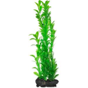 TETRA Растение Hygrophila L 30 см