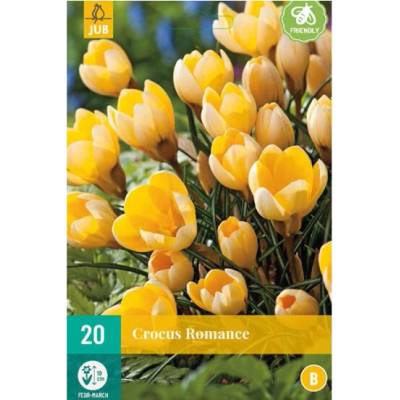 Maják Krokus Romance "B" 20 ks