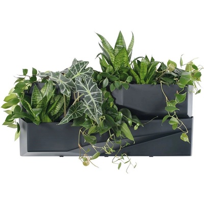 Prosperplast CASCADE GARDEN WALL IO3W800S433 Sada dvou kaskádových květináčů antracit