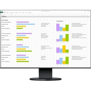 Eizo FlexScan EV2456-BK