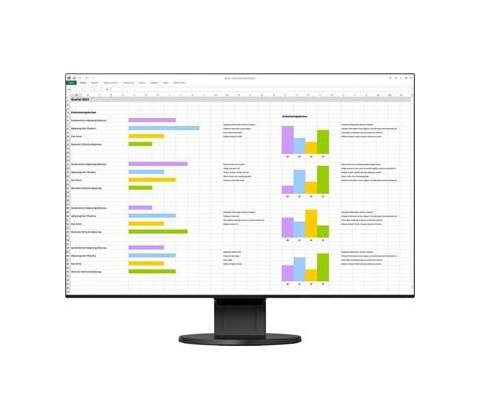 Eizo FlexScan EV2456-BK
