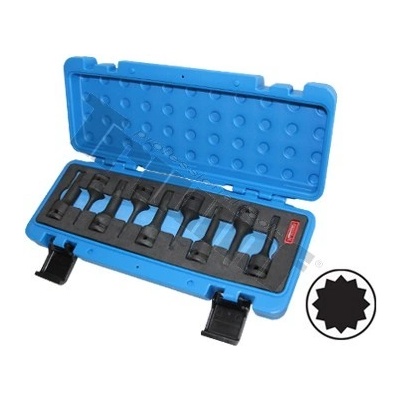 TRIUMF Sada kovaných XZN bitov, 1/2" vstup, 9 - dielna