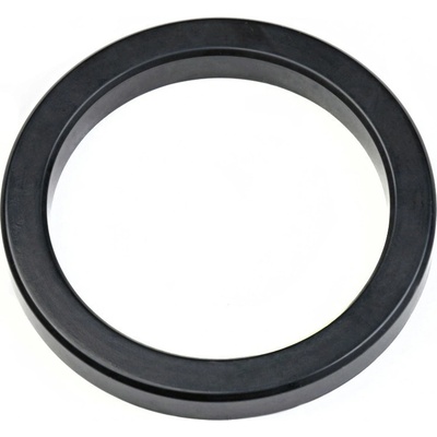 Ascaso Home těsnění hlavy