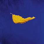Warner New Order: True Faith - Vinyl (LP) (065954)