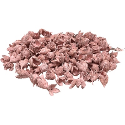 Sušené bukvice 220g - farbené žlté