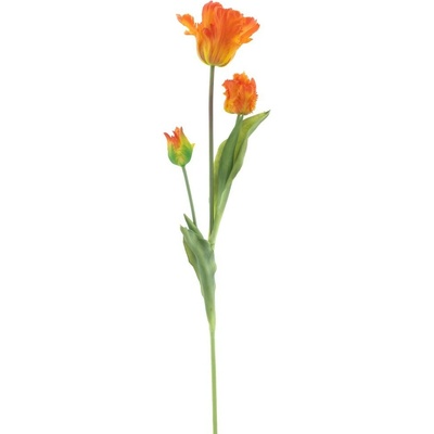 Tulipán papouškovitý Sally oranžový 71