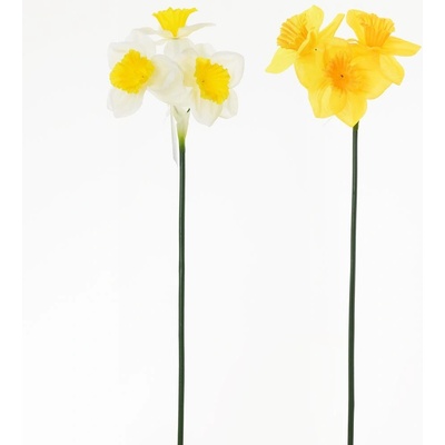 KS NARCIS MIX 2 FAR. 40cm