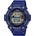 Casio WS-1300H-2AVEF
