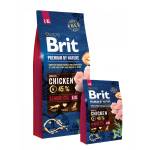 Brit premium senior l/xl by nature- Суха храна за забавяне на стареенето на големи и гигантски породи кучета с 45% прясно пилешко месо- 15 кг