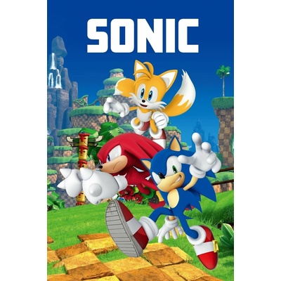 Jerry Fabrics Detská fleecová deka Sonic 023