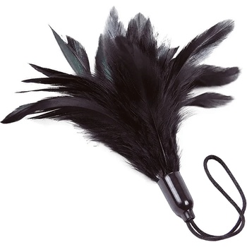 Image 1 of Adrien Lastic Prestige Feather Tickler Black