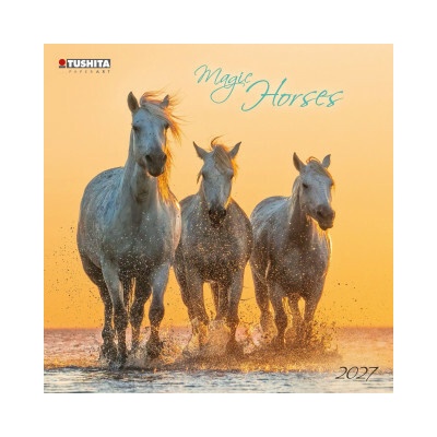 Magic Horses 2027