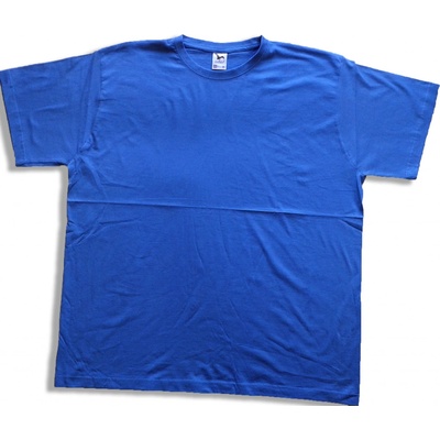 BASIC tričko jednobarevné pánské modrá