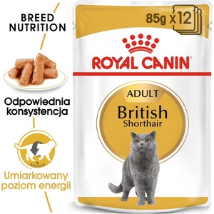 Royal Canin British Shorthair Adult пакет 12x85g (сос) мокра храна в сос за възрастни котки от породата британска късокосместа