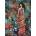 Anatolian - Puzzle Priceless - 1 000 piese