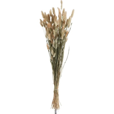 Sušená dekorativní květina Bundle Plume - 16*16*84 cm - J-Line by Jolipa