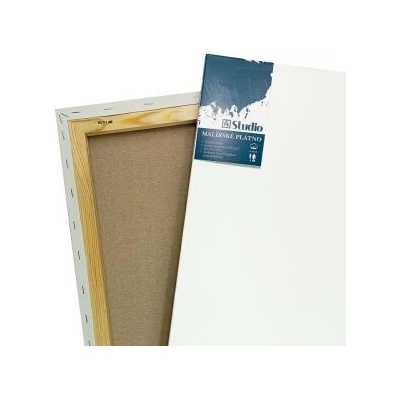 Artikon Studio Malířské plátno 70x120cm – Hledejceny.cz
