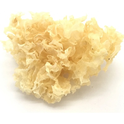 Salvia Paradise Rosolovka řasotvará 100 g
