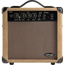Stagg 10 AA