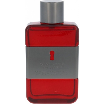 Antonio Banderas The Secret Temptation toaletní voda pánská 100 ml
