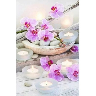 Орхидеи 30/40см