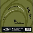 Galli AJF1047