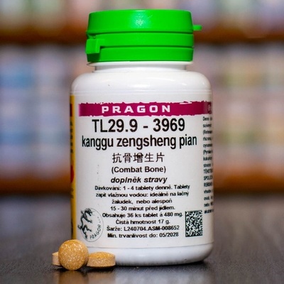 Pragon TL29.9 3969 36 tablet
