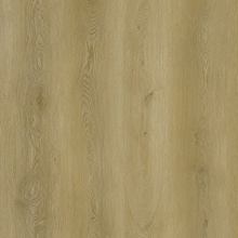 Republic Grizzly G010 Fly 2,22 m²
