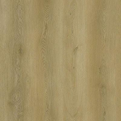 Republic Grizzly G010 Fly 2,22 m²