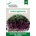 Agrosel Семена за Микро Червено зеле (Brassica oleracea var capitata f rubra) - 8 гр