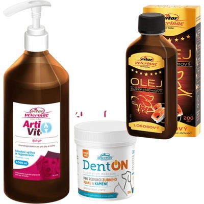 Vitar ArtiVit Sirup 1000 ml DentON100 g losos olej 200 ml