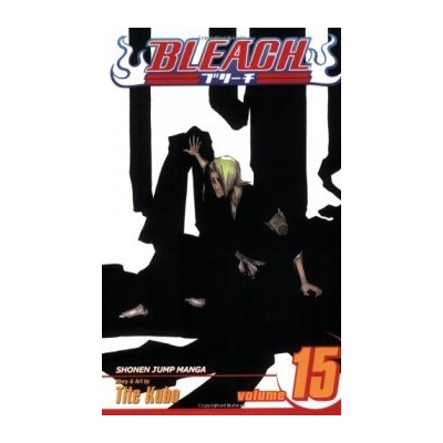 Bleach - Kubo Tite