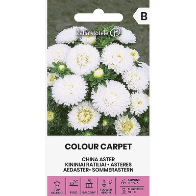 Seklos Астри Бели Цветен килим Callistephus chinensis L Ness Colour Carpet