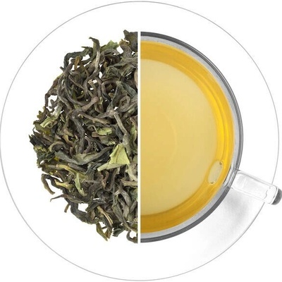 Oxalis India Darjeeling Marybong FTGFOP1 First Flush 60 g