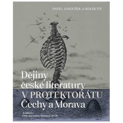 Dějiny české literatury v protektorátu Čechy a Morava - Pavel Janoušek