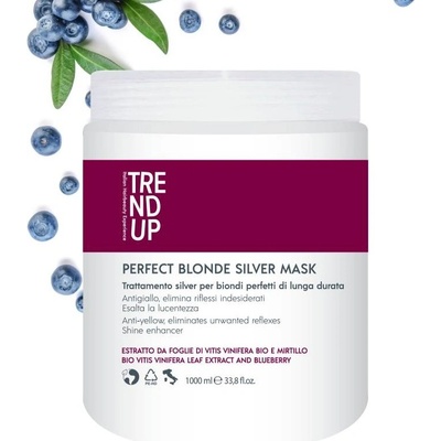 Trend Up Perfect Blonde vystříbřující maska 1000 ml