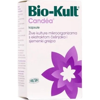A. VOGEL Хранителна добавка Пробиотик при вагинална кандидоза и гъбични инфекции, A. Vogel Bio-Kult Candea 60 caps