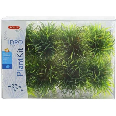 Zolux set IDRO 24 ks