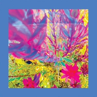The Reds, Pinks and Purples - THE PAST IS A GARDEN I NEVER FED Vinyl