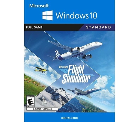 Flight Simulator