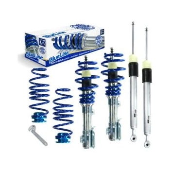 Регулируемо окачване ford fiesta (2008-2016)