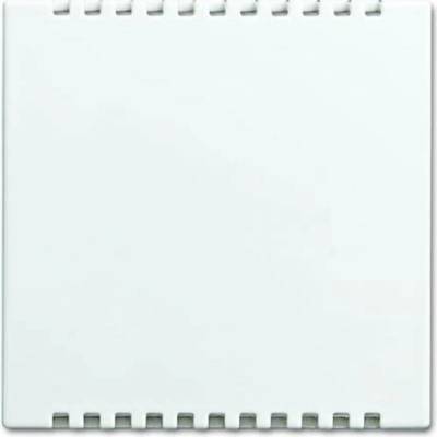 Busch-Jaeger 2CKA006599A3021